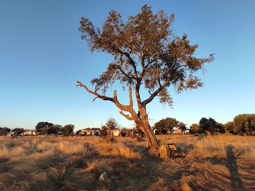 Photo from customer review