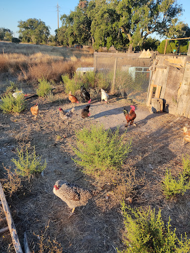 Photo from customer review