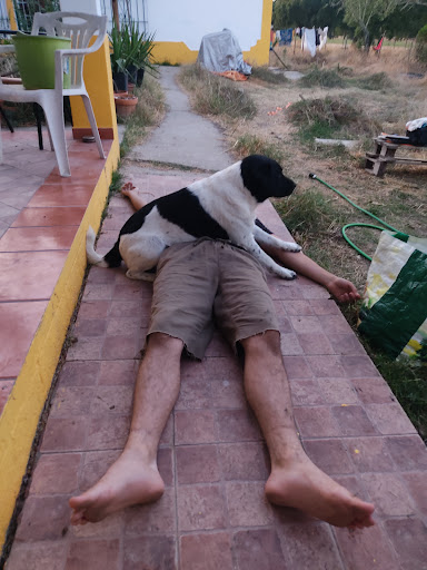 Photo from customer review