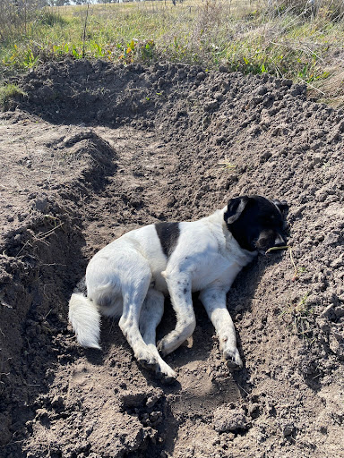 Photo from customer review