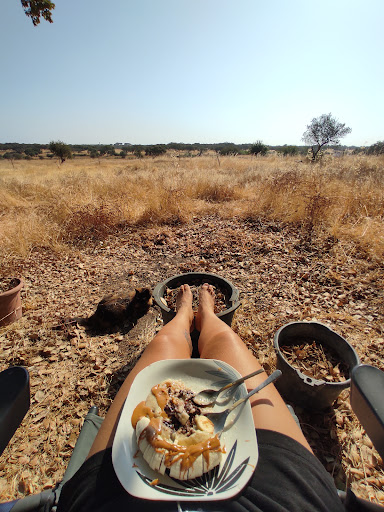 Photo from customer review