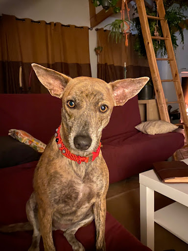 Photo from customer review