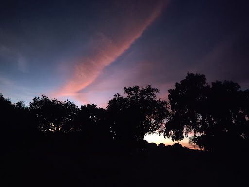 Photo from customer review