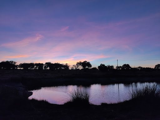 Photo from customer review